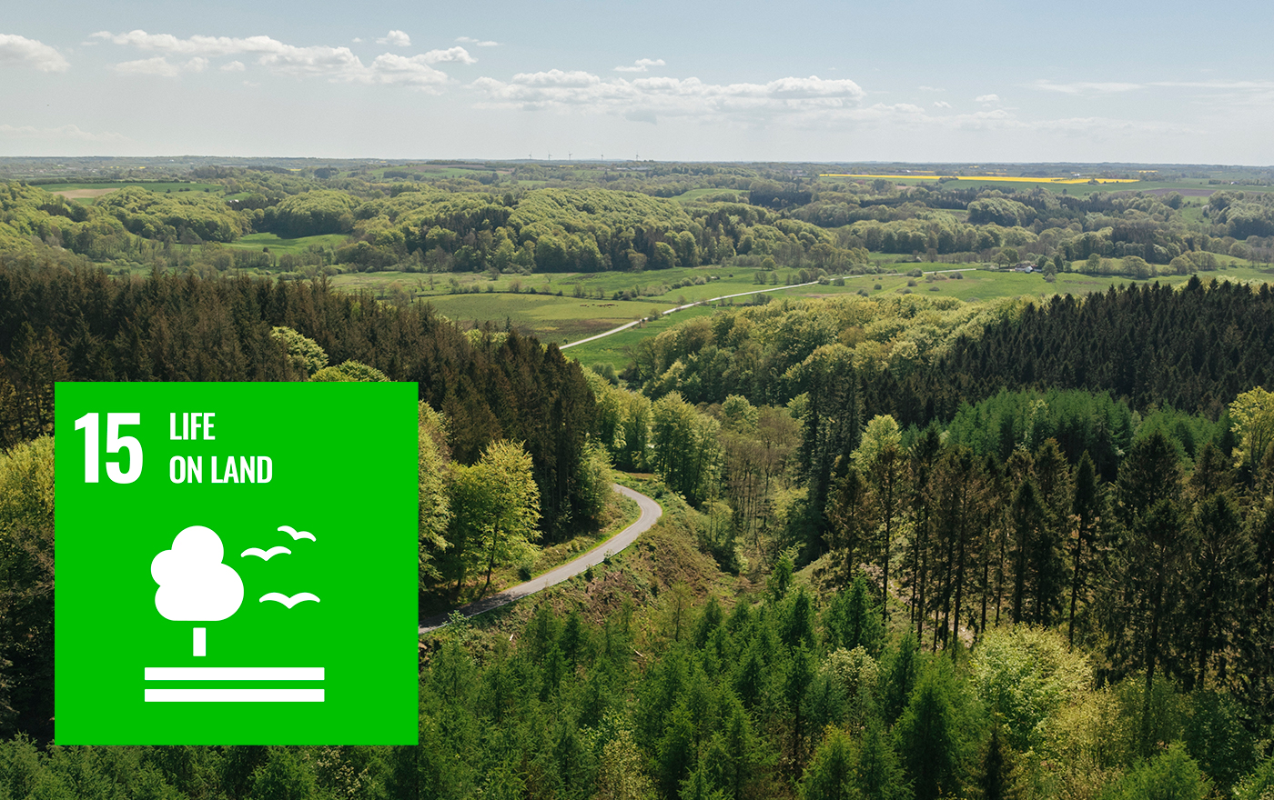 Jtt UN Sustainable Goal Nr 15 Life On Land